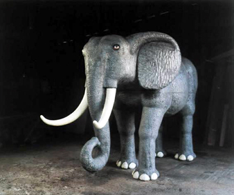 elephant.jpg