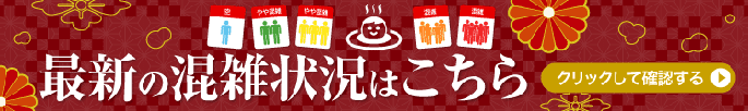 第15回ニフティ温泉年間ランキング2020　鹿児島県総合第1位！