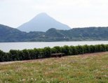 池田湖（いけだこ）