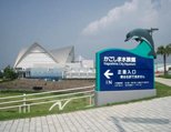 いおワールド鹿児島水族館