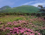 えびの高原