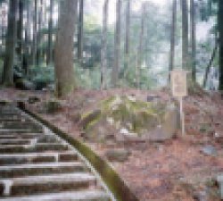 霧島の『七不思議』 3「亀石」の不思議