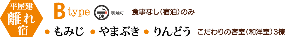 平屋建離れ宿 Btype