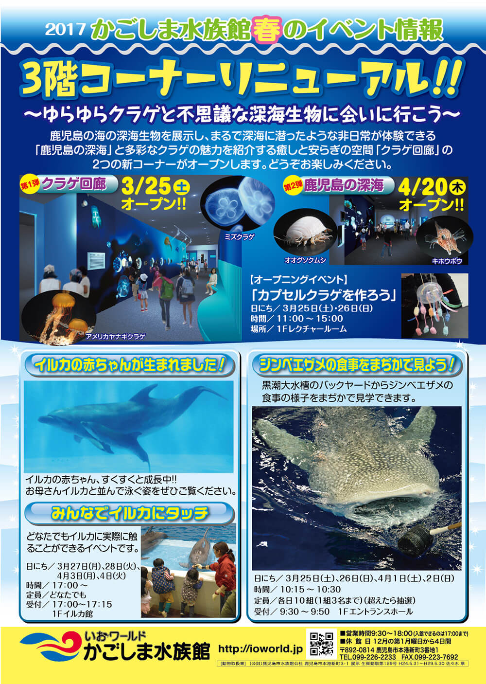 かごしま水族館春のイベント情報