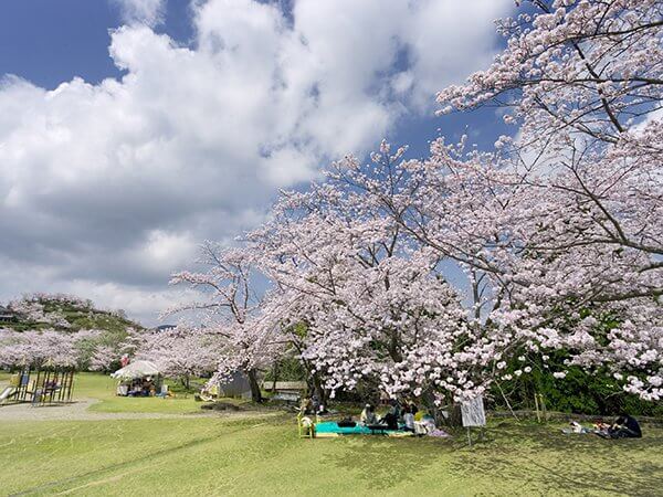 丸岡公園