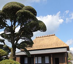 日当山温泉郷「西郷どんの宿」